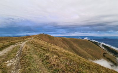 Krizna