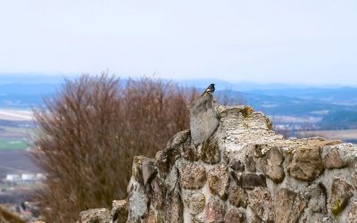 Pustý hrad