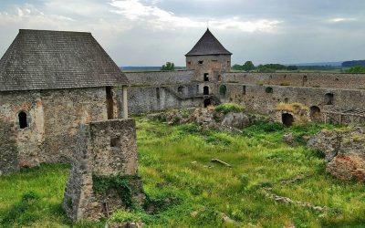 Bzovik