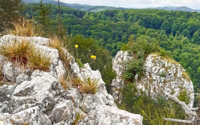 Borcianska_planina_FHD